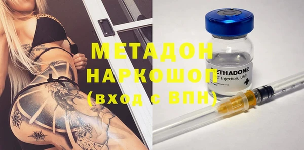 индика Няндома