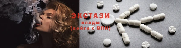 индика Няндома
