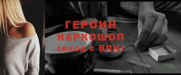 индика Осташков