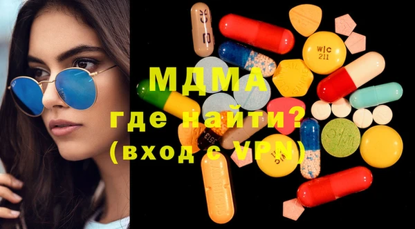 индика Няндома