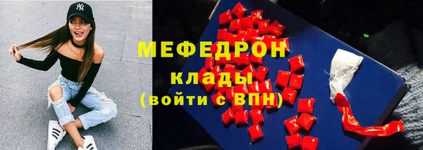 индика Няндома