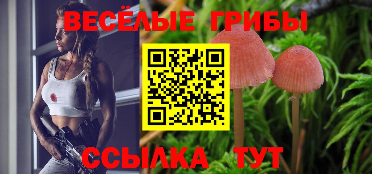 Псилоцибиновые грибы GOLDEN TEACHER  Вход с VPN  Химки 